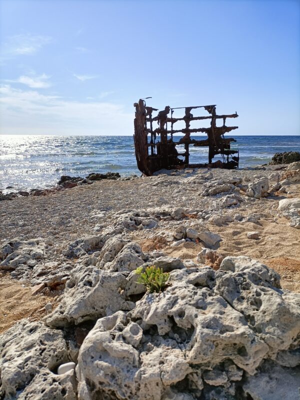 Bike tour Sinis relitto